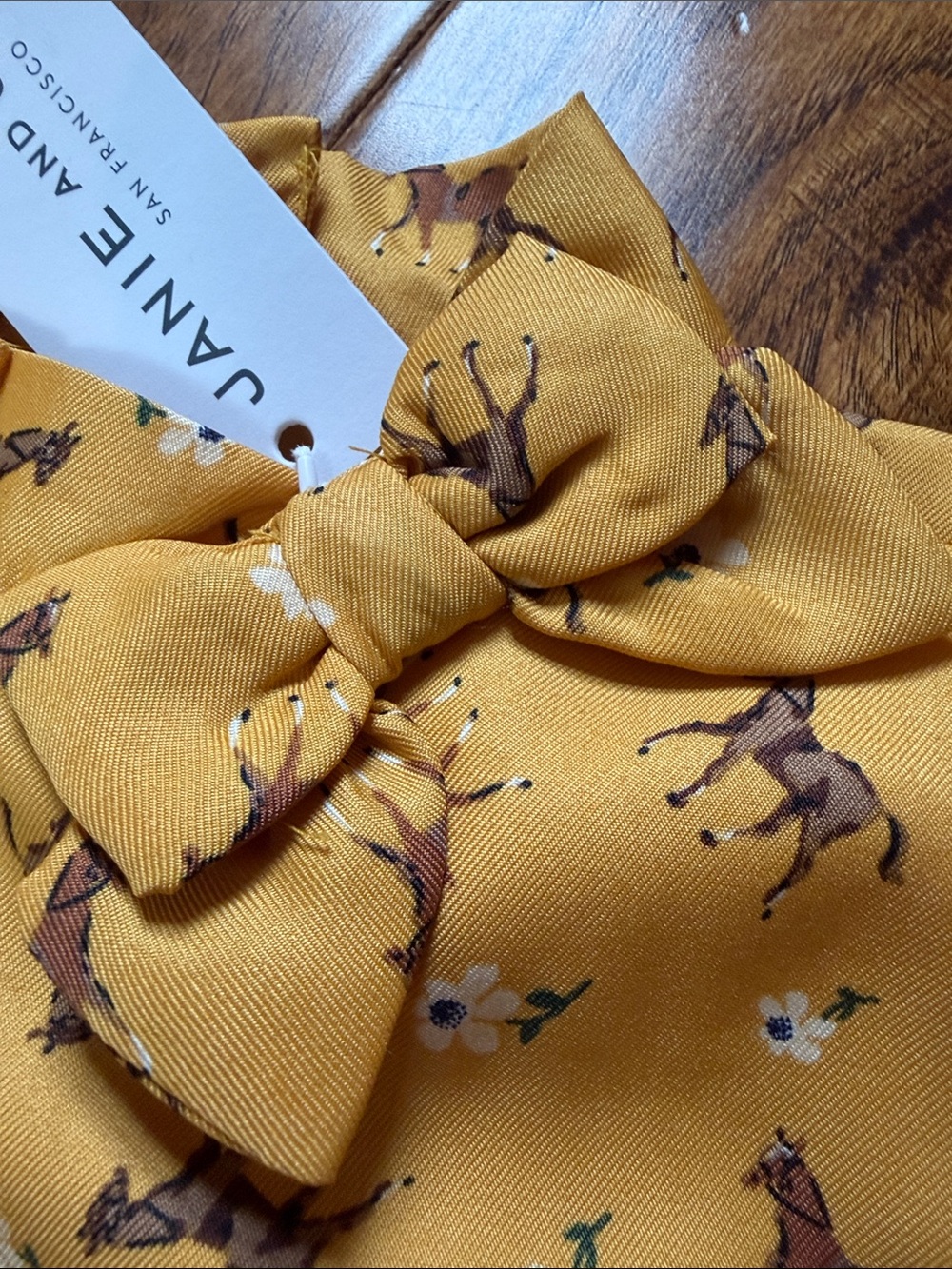 Janie and Jack Equestrian Dress - Picture 4 of 5